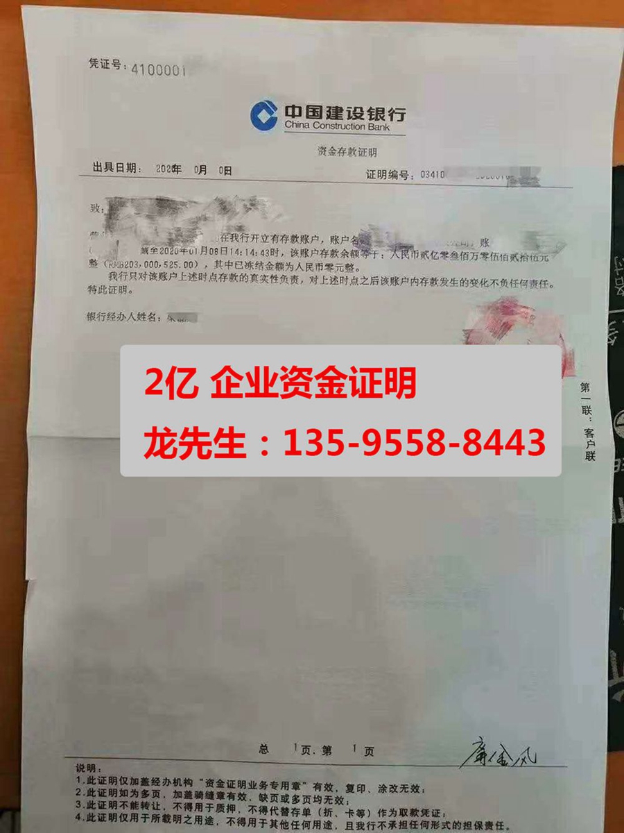 河南摆账亮资验资找龙总@13595588443(图7) 河南摆账亮资验资找龙总@13595588443(图7)